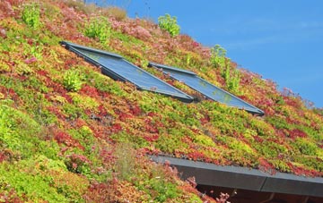 Dinghurst living roof systems