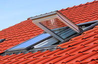 Dinghurst roof window